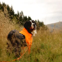 Non-stop Dogwear Protector Hundoverall Hane Svart & Orange