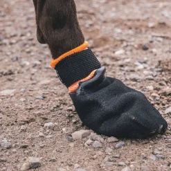 Non-Stop Dogwear Protector Hundstrumpa Svart & Orange 4-pack