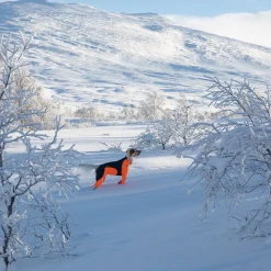 Non-Stop Dogwear Protector Snow Hundoverall Tik Svart & Orange