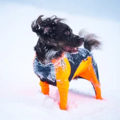 Non-Stop Dogwear Protector Snow Hundoverall Tik Svart & Orange