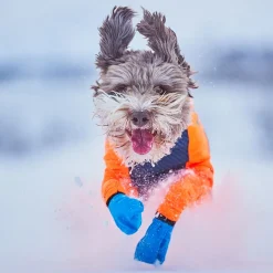 Non-stop Dogwear Protector Snow Hundoverall Hane Svart & Orange
