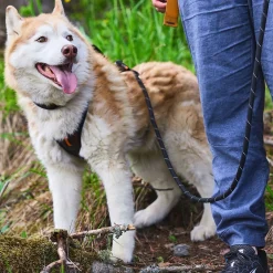 Non-Stop Dogwear Rock Justerbart Repkoppel 2,5 m Svart