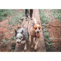 Non-stop Dogwear Touring Double Divider Avdelare för Koppel