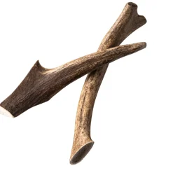 Nutriment Hjorthorn Hundtugg