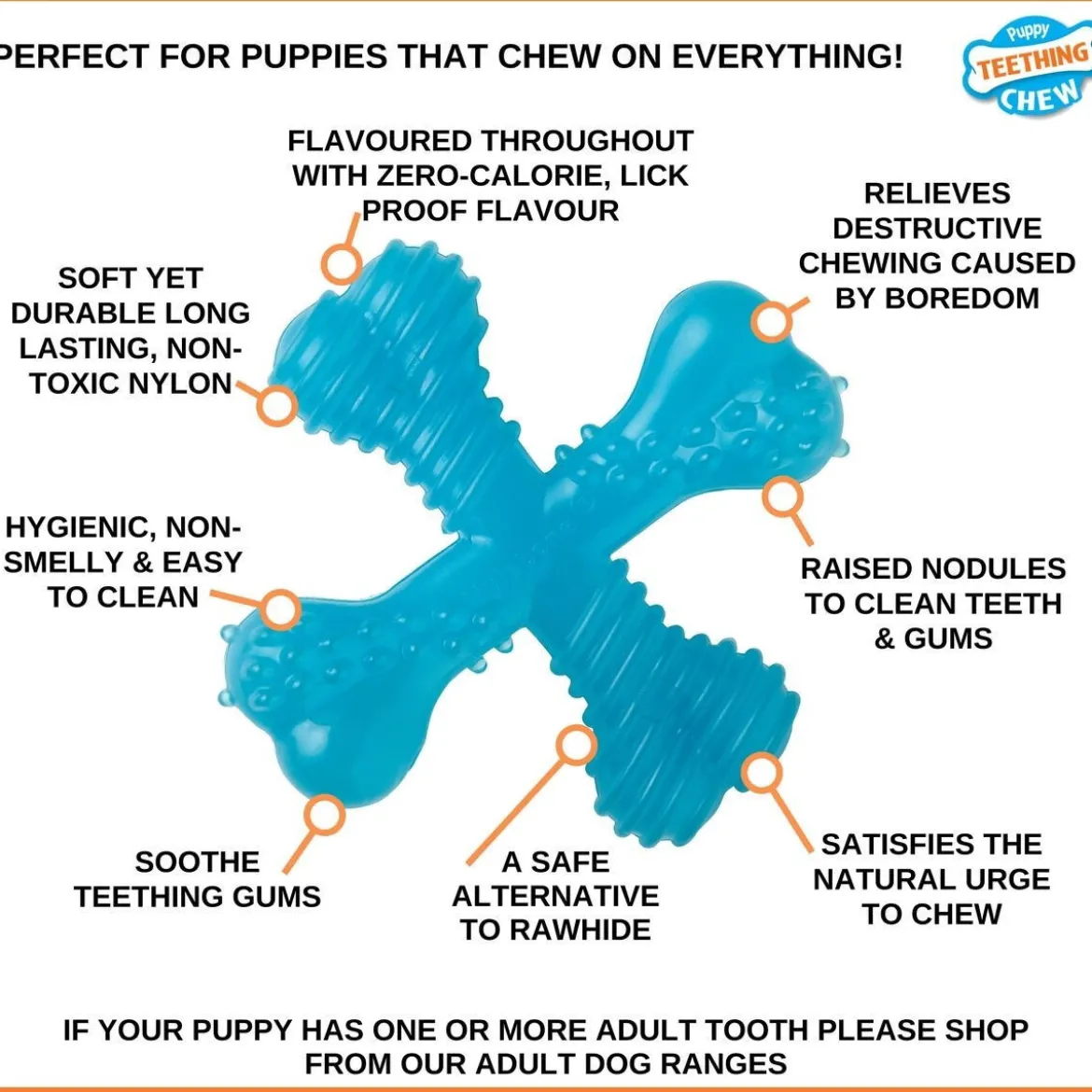 Nylabone Puppy Teething X Biff XS