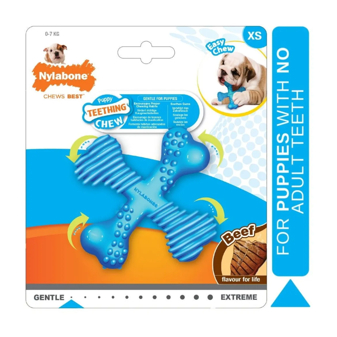 Nylabone Puppy Teething X Biff XS