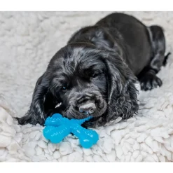 Nylabone Puppy Teething X Biff XS