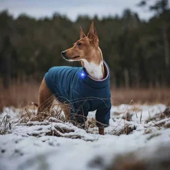 Orbiloc Säkerhetslampa till hund