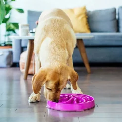 Outward Hound Slow Feeder Hundmatskål Blomma Lila 30 cm