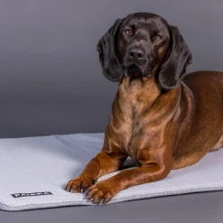 PAIKKA Kylande Hundfilt Grå