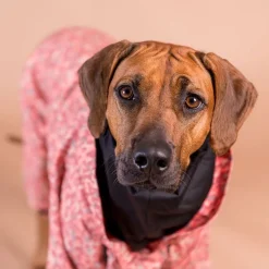 PAIKKA Regnoverall till Hund Röd