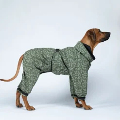 PAIKKA Regnoverall till Hund 2.0 Grön