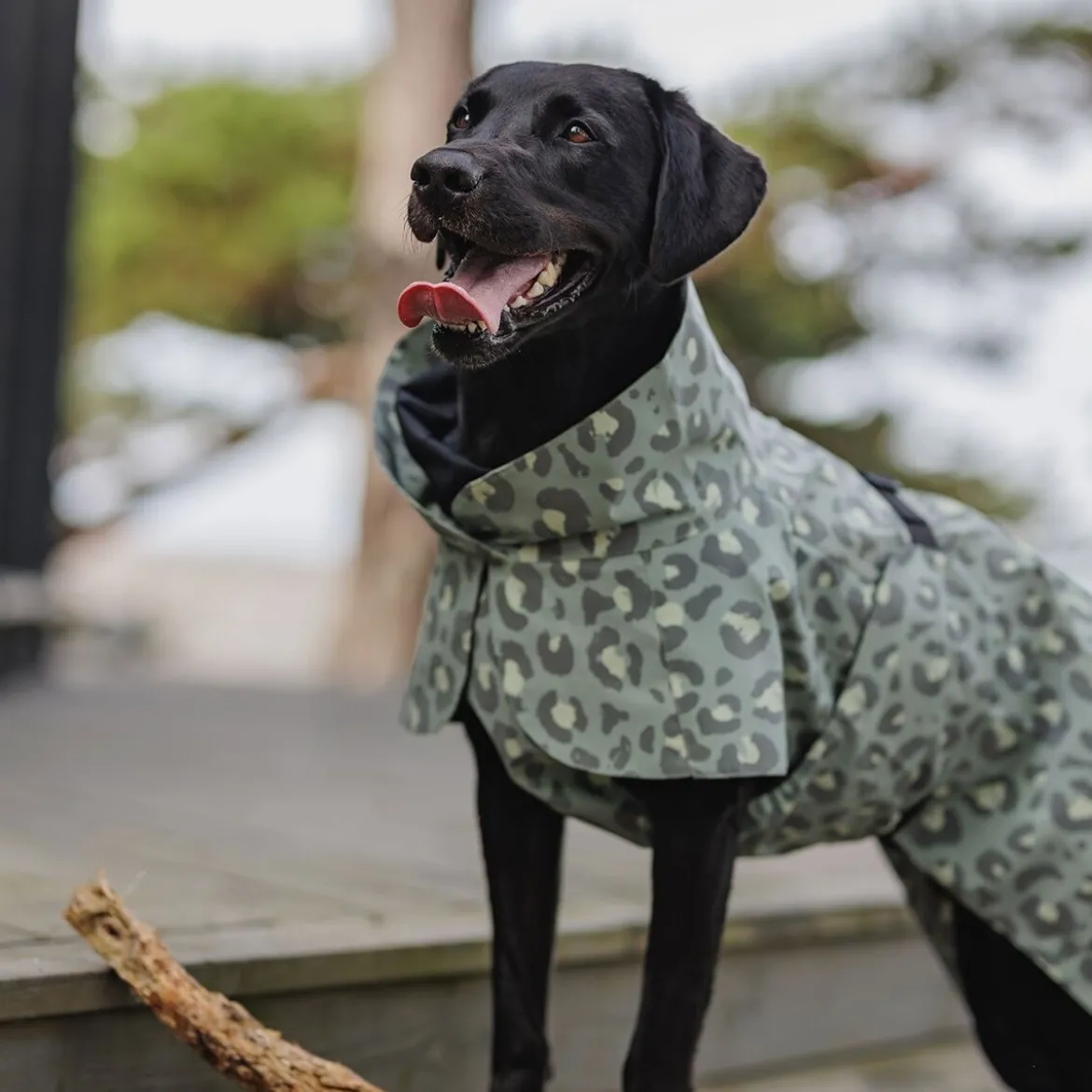 PAIKKA Visibility LiteRegnjacka till Hund Leopard Grön