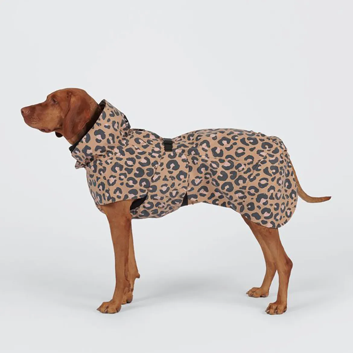 PAIKKA Visibility Regnjacka till Hund Leopard