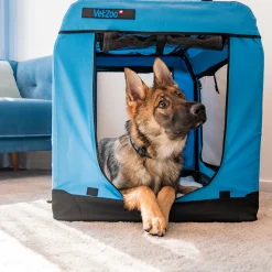 PetEasy x VetZoo Transportbur Blå