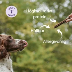 Petgood Dentaltugg med Insektsprotein
