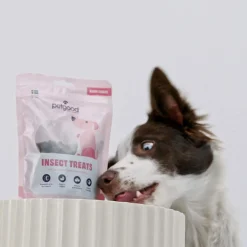 Petgood Puppy Valpgodis med Insektsprotein 100 g