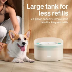 Petlibro Capsule Vattenfontän till Hund Vit