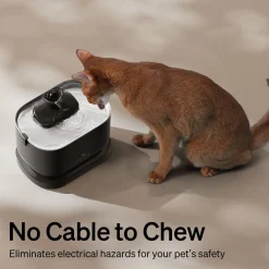 Petlibro Dockstream Trådlös Vattenfontän till Katt