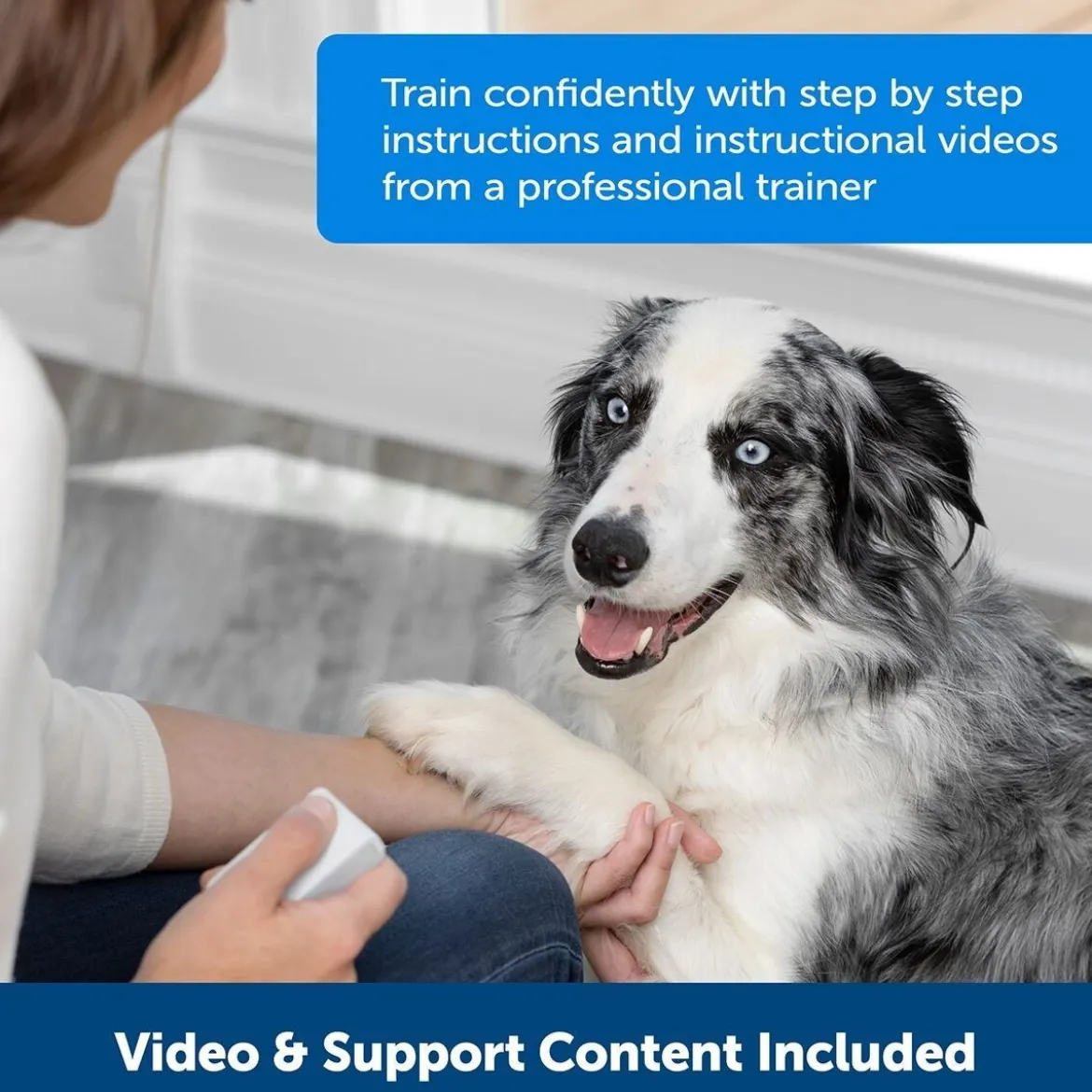 PetSafe Teach & Treat Godisautomat med Fjärrkontroll