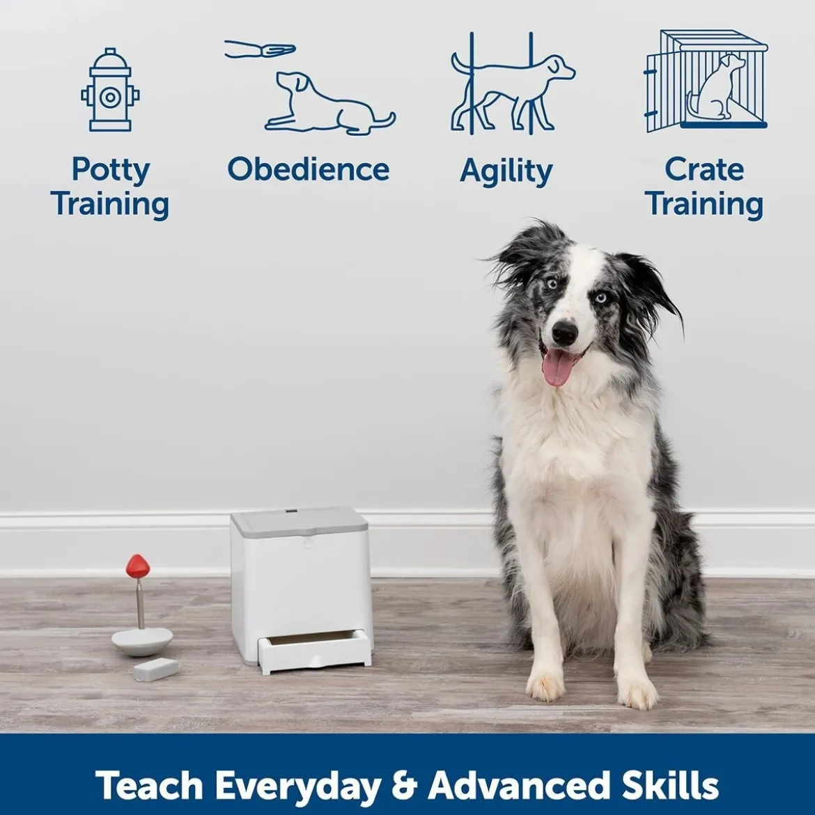 PetSafe Teach & Treat Godisautomat med Fjärrkontroll