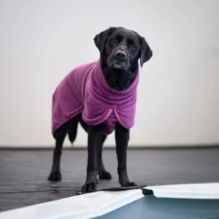 Pomppa Bath Badrock till Hund Plum