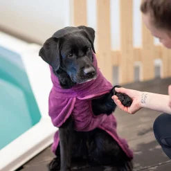 Pomppa Bath Badrock till Hund Plum
