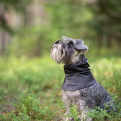 Pomppa Huppu Halsduk till Hund Graphite