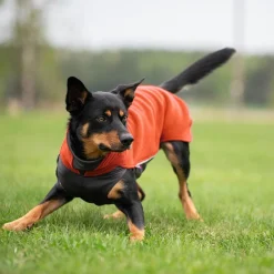 Pomppa Jumppa Fleecetäcke Hund Habanero