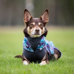 Pomppa Jumppa Fleecetäcke Hund Aurora
