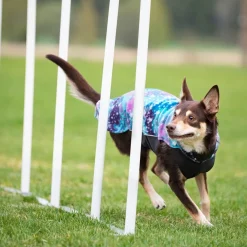 Pomppa Jumppa Fleecetäcke Hund Aurora