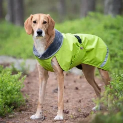 Pomppa Kevyt Regnjacka Hund Lime