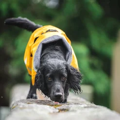 Pomppa Kevyt Regntäcke Hund Curry
