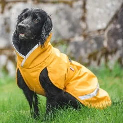Pomppa Kevyt Regntäcke Hund Curry