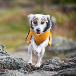 Pomppa Perus Vintertäcke Hund Curry