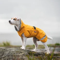 Pomppa Perus Vintertäcke Hund Curry