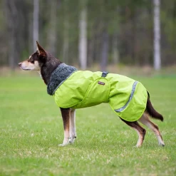 Pomppa Perus Vintertäcke Hund Lime