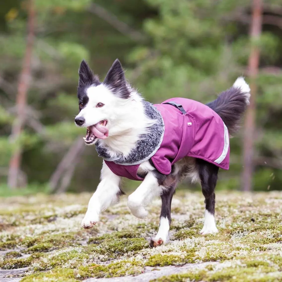 Pomppa Perus Vintertäcke Hund Plum