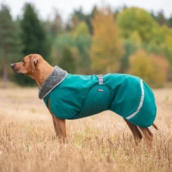 Pomppa Toppa Hundtäcke för Sele Forest