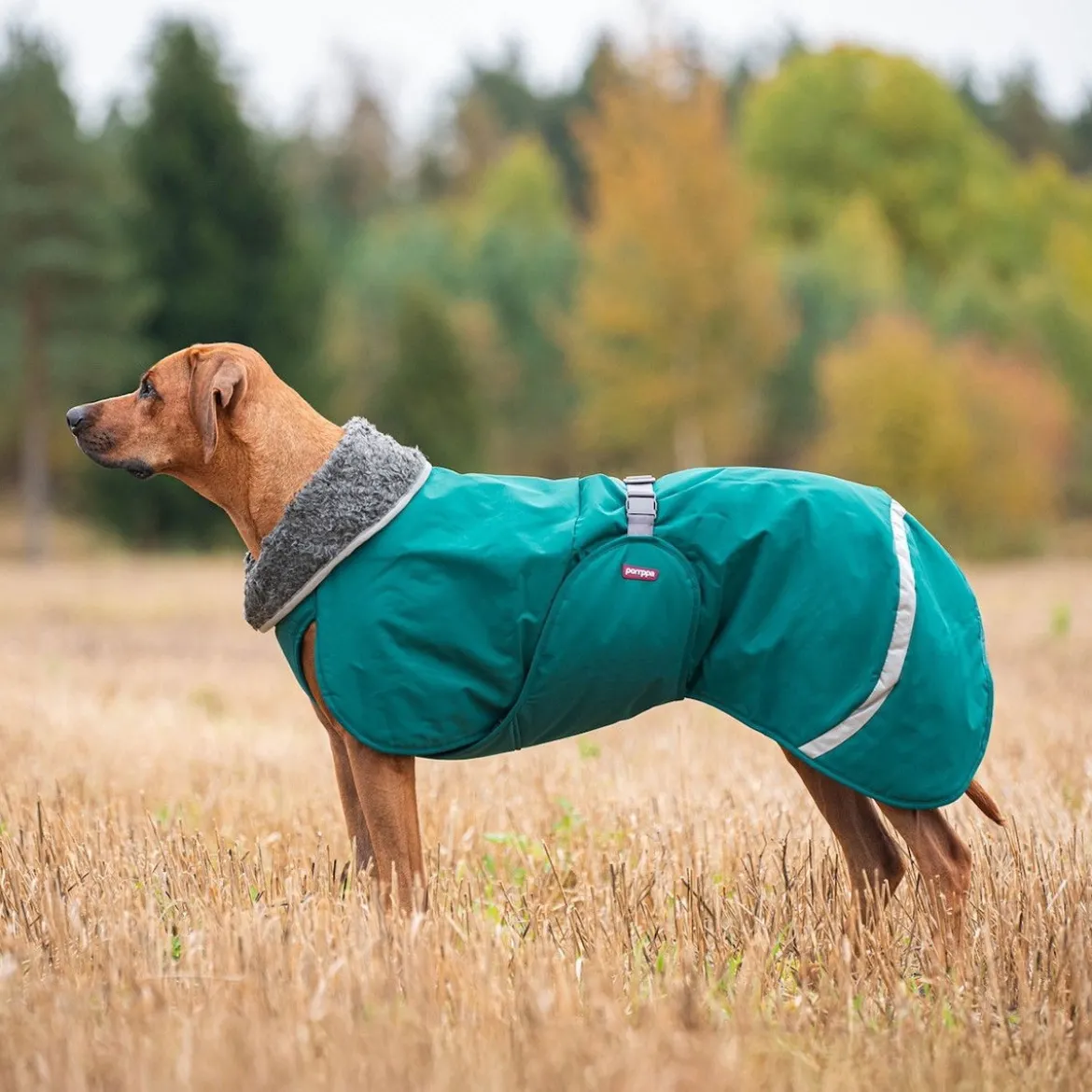 Pomppa Toppa Hundtäcke för Sele Forest
