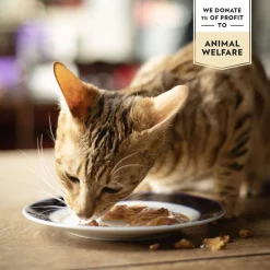 PrimaCat Classic Valuepack in Gravy 48x85 g