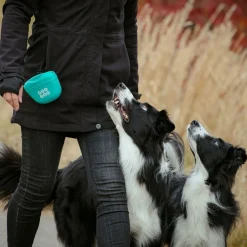 Pro Dog Godisväska i Silikon Turkos