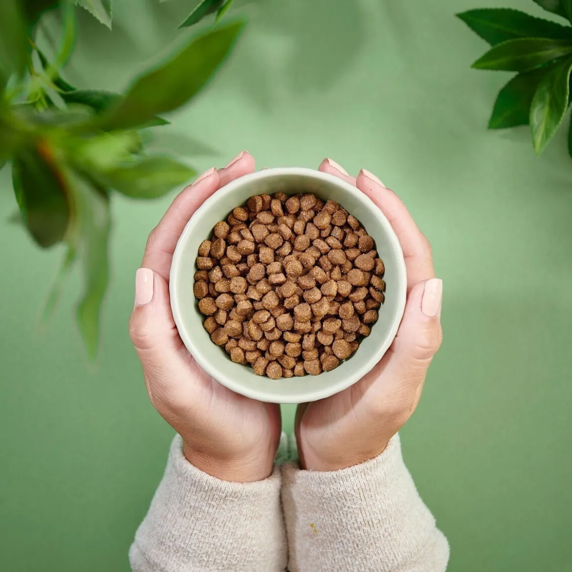 Purenatural Kitten Grain Free Turkey & Chicken Spannmålsfritt Torrfoder till Kattunge