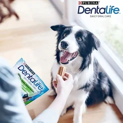 Purina Dentalife Medium 24-pack