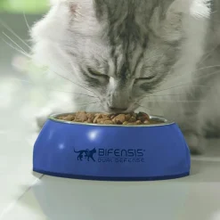 Purina ONE Sterilcat Oxe