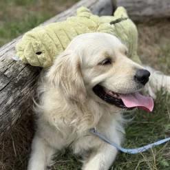 Quapas! Mjukisdjur till Hund Alligator