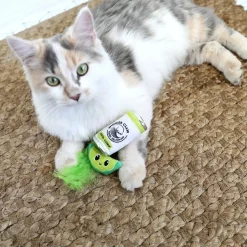Quirky Kitty Dryck & Lime Kattleksaker 2-pack