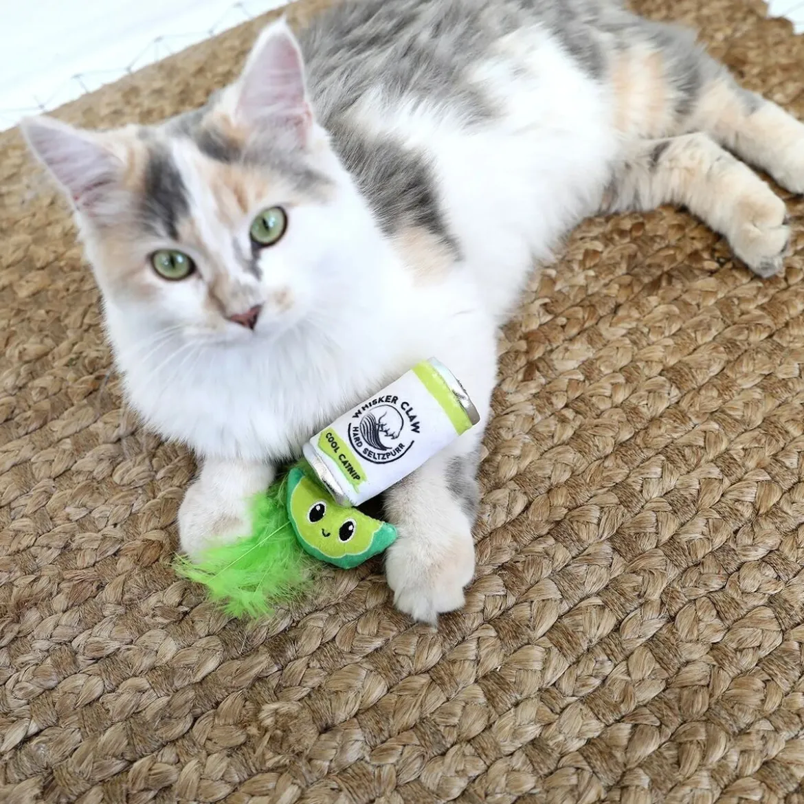 Quirky Kitty Dryck & Lime Kattleksaker 2-pack