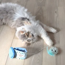 Quirky Kitty Hide-a-Toy Kattleksak Glasskula med Kattmynta
