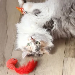 Quirky Kitty Ramen 2-pack